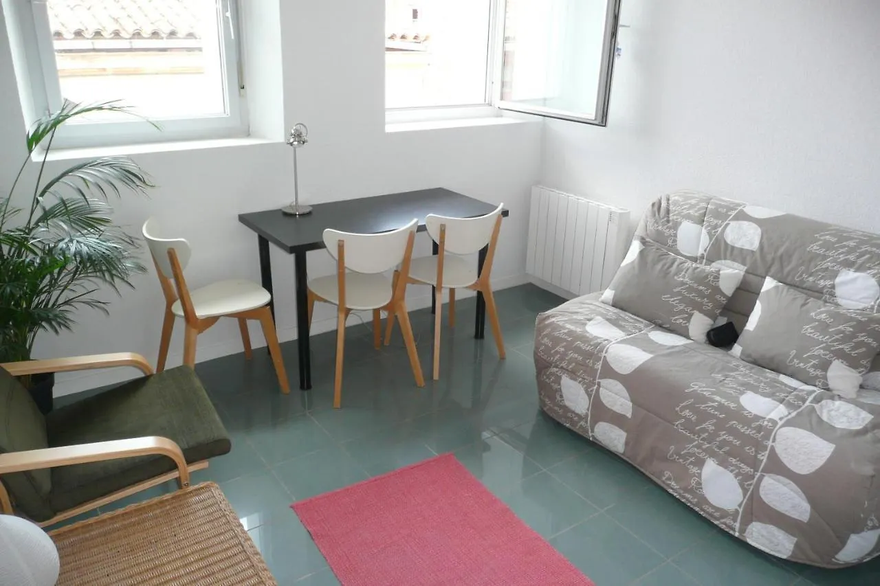 Appartement Dans Toulouse Hyper Centre