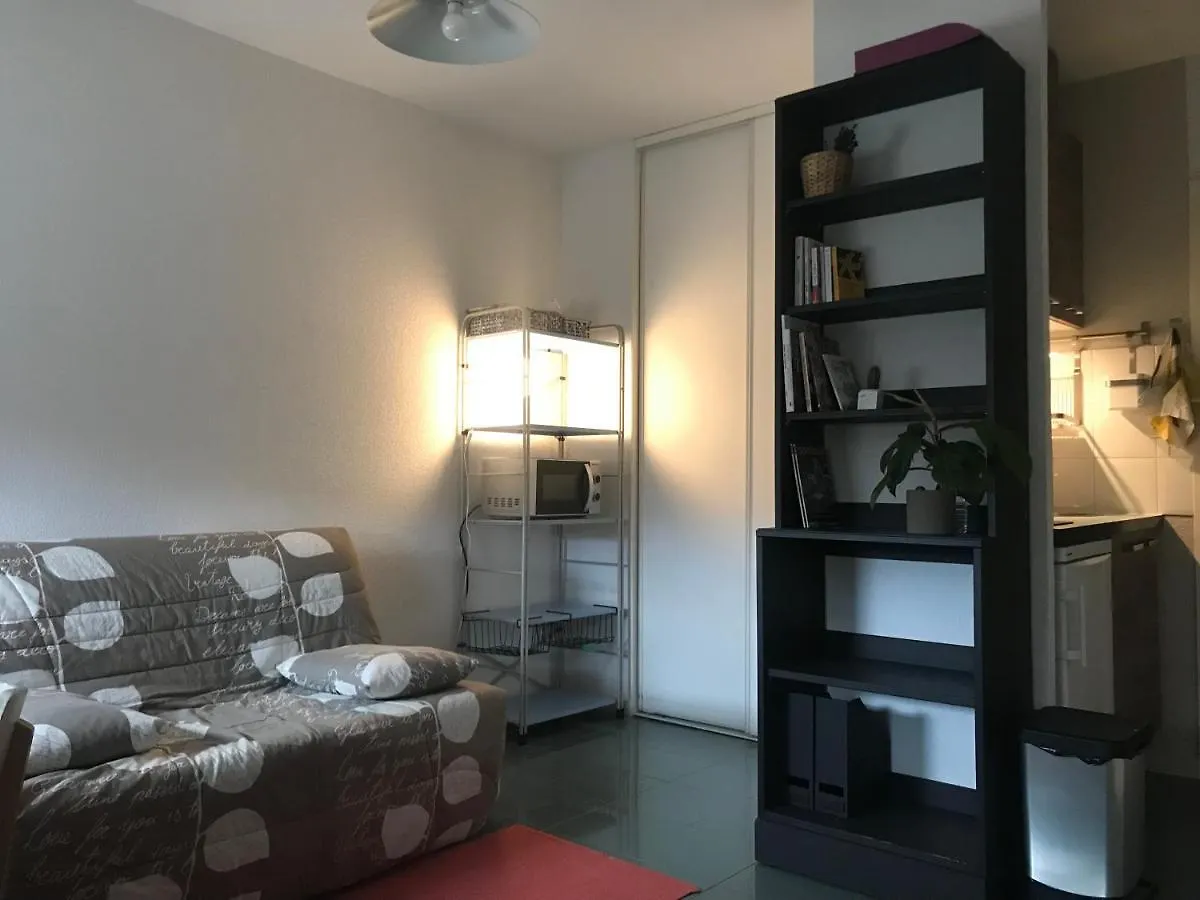 Appartement Dans Toulouse Hyper Centre Apartamento